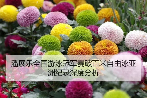 潘展乐全国游泳冠军赛破百米自由泳亚洲纪录深度分析